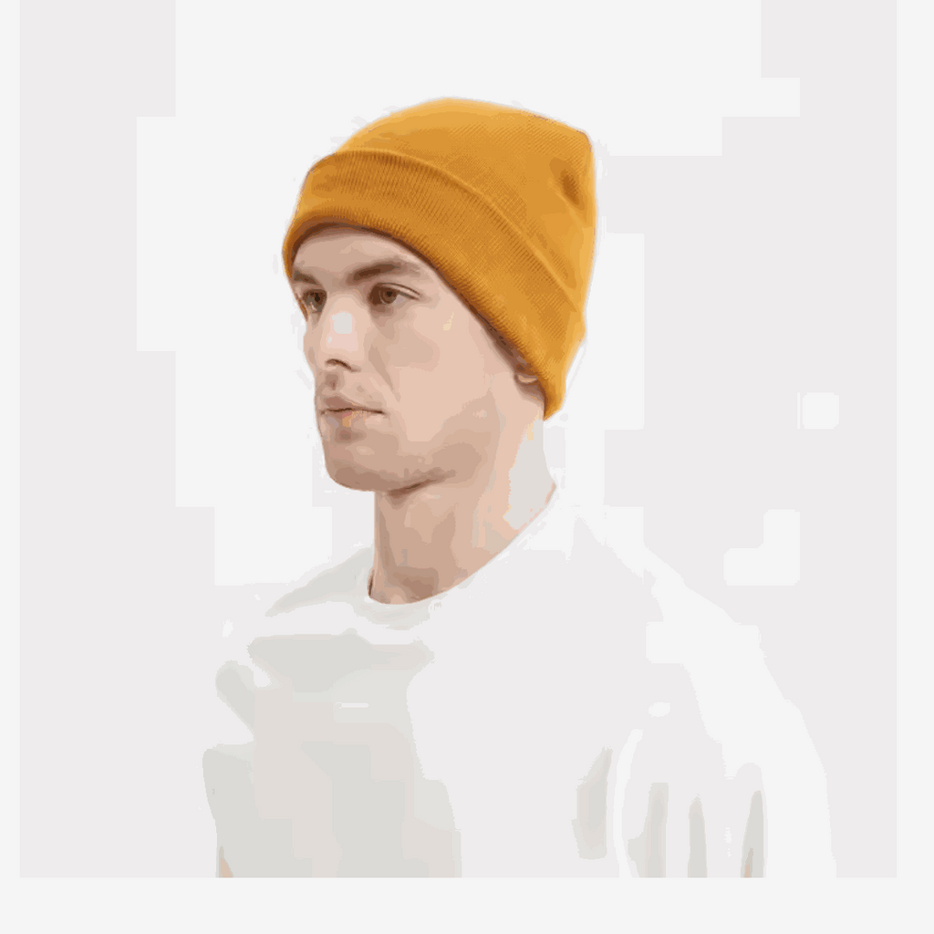 EMF Defense Beanie
