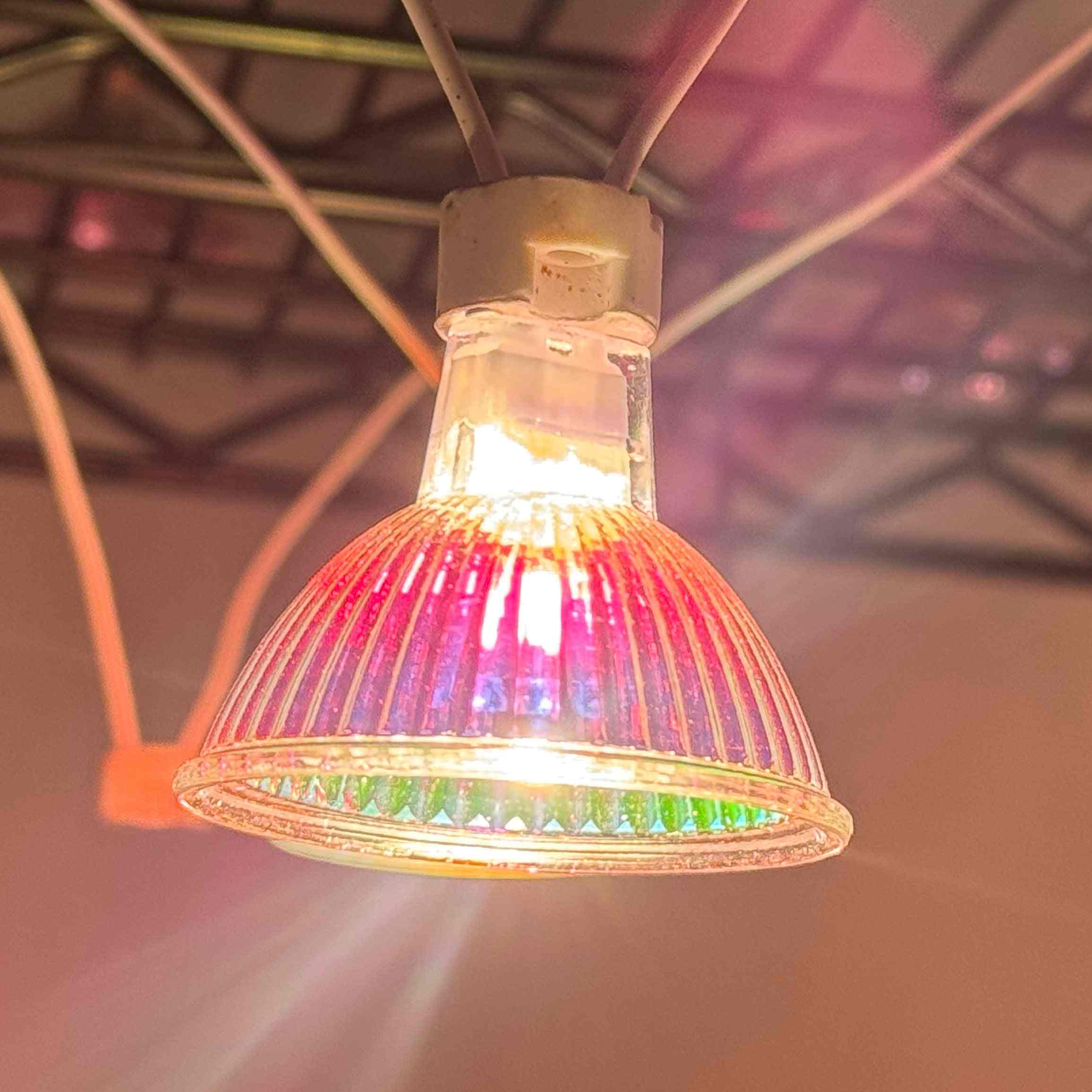 12V 50W Halogen White Light MR16 Lamp