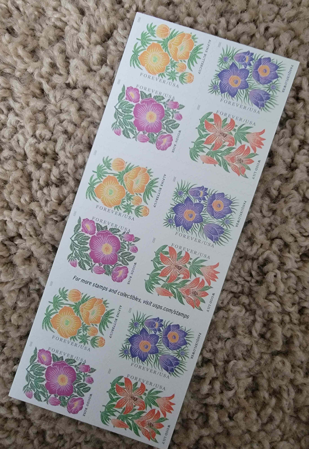 USA Forever Mountain Flora booklet of 20 stamps