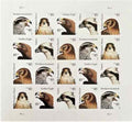 2012 Birds of Prey USPS 85 cents forever collectible stamps pack of 20