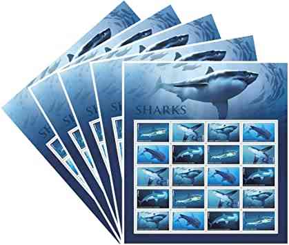 Sheet of 20 Shark USA Forever First Class Postage Stamps featuring five shark species and ocean background