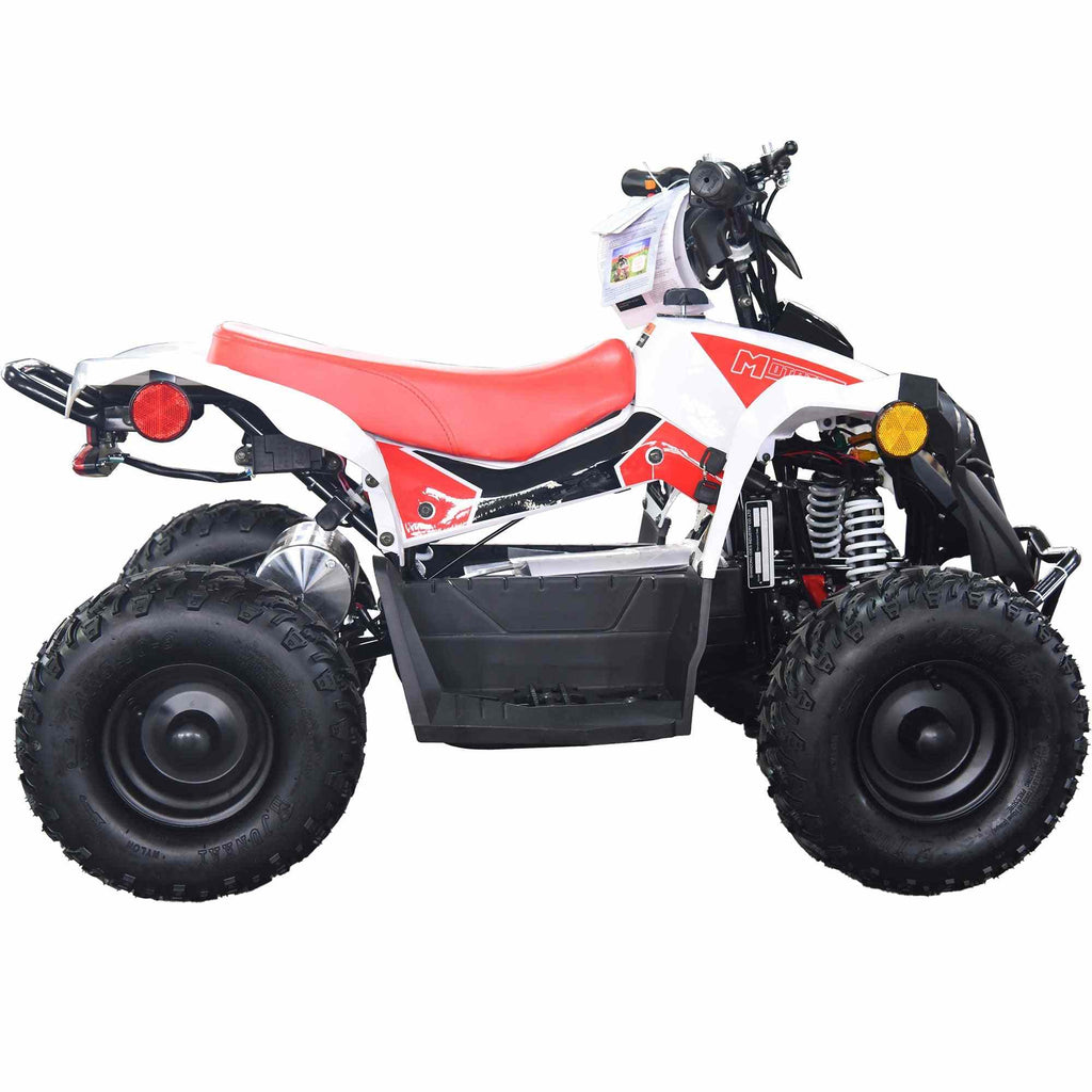 36V 1.0 kW Lead Acid ATV