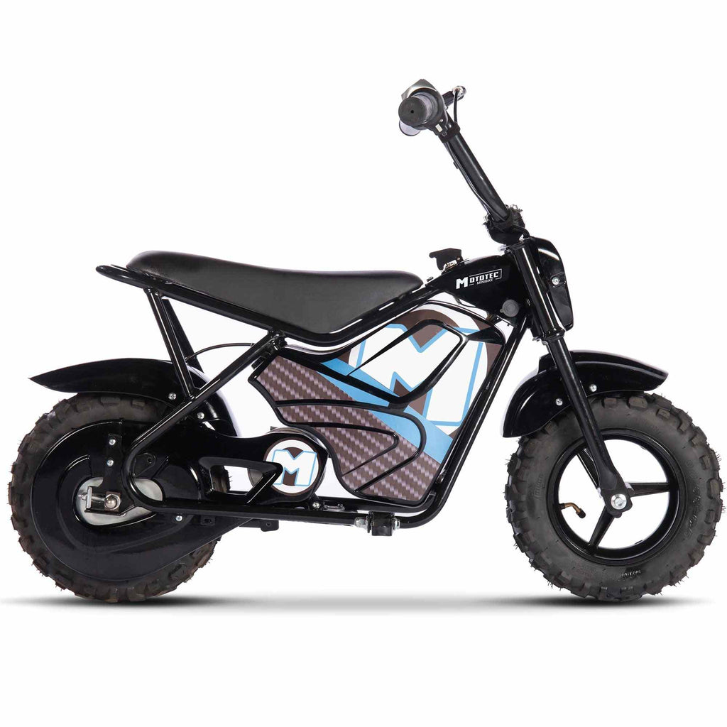 24V 250 Watt Mini Bike