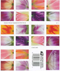 Booklet of 20 Tulip Blossoms Forever Stamps displaying colorful tulip flowers