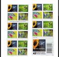 Booklet of 20 Garden Delights Forever Stamps 2024