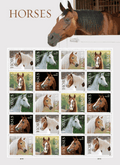 Pane of 20 horses stamps sheet forever